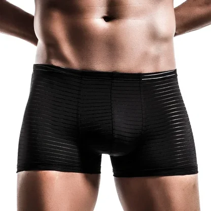 Comfortable Sheer Tight Brief - Image 3