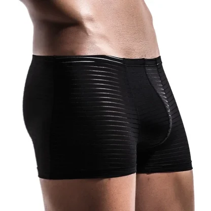 Comfortable Sheer Tight Brief - Image 4