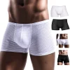 Comfortable Sheer Tight Brief - Image 6