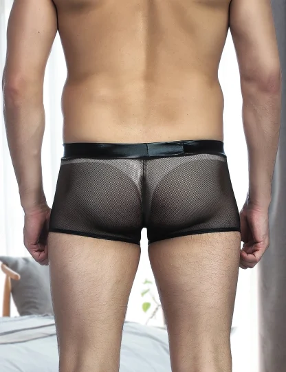 Sexy Sheer Mesh Boxer Brief - Image 4