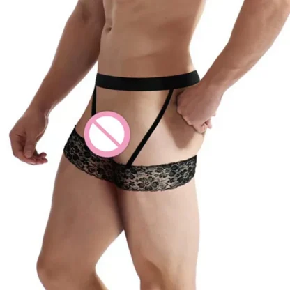 Sexy Sheer Lace Garter Belt - Image 4