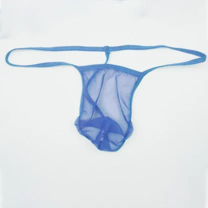 Ultra-thin Sheer Strechable Thong - Image 2