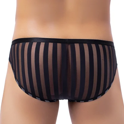 Mesh Striped Transparent Brief - Image 2