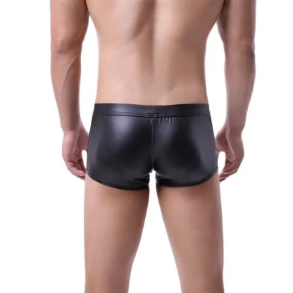 Big Pouch Boxer Brief - Image 6