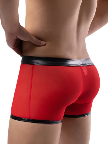 Breathable Mesh Boxer Brief - Image 6