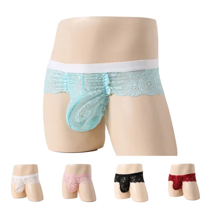Large Comfy Pouch Lace Brief - Image 9