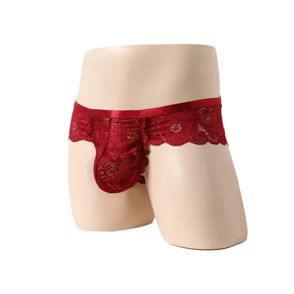Large Comfy Pouch Lace Brief - Image 5